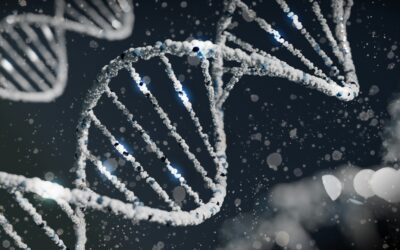 Sperm DNA fragmentation